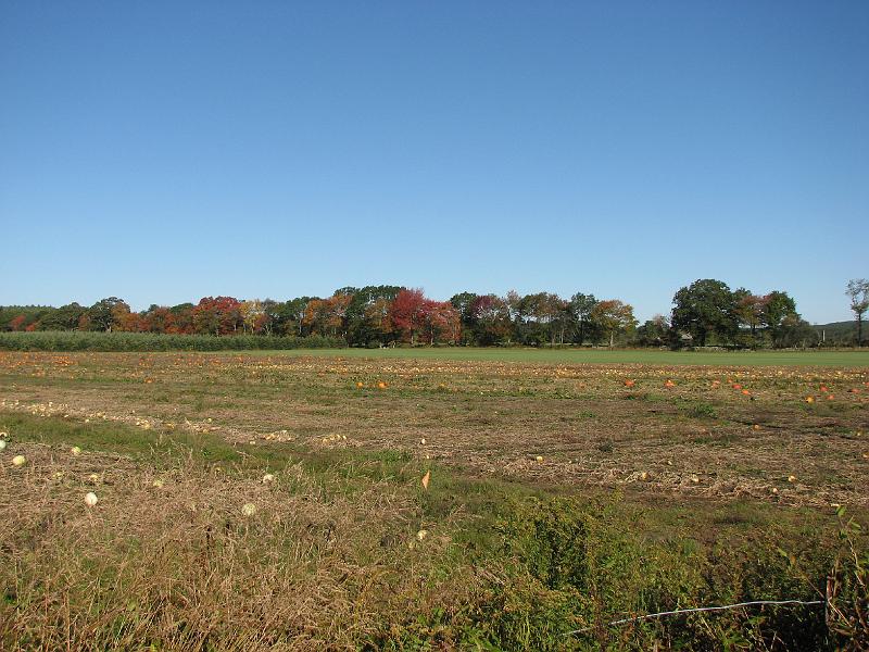 2008-10-11_Tiverton_Trustom 011.jpg